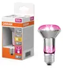 OSRAM LED Star Pflanzenlampe mit Filament und 7.5 W / 140 Produktbild-Vorschau 4