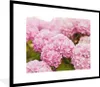 MuchoWow® Gerahmtes Poster Busch - Blumen - Rosa - Produktbild-Vorschau 1