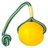 Pelota para lanzar y recoger DuraFoam, tamaño medio, para Vista previa de la imagen del producto 1