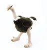 RAPPA Struzzo di peluche 32 cm ECO-FRIENDLY Anteprima dell’immagine prodotto 5