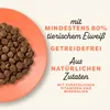 Applaws croquettes pour chats au poulet et au saumon - 400 Voir les images du produit 7