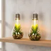 2er Set LED Glühbirne Sukkulenten H19cm Grün Deko Lampe Produktbild-Vorschau 1
