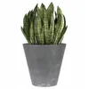Prosperplast Blumentopf TUBUS Betoneffekt Anthrazit 30 cm Produktbild-Vorschau 9