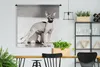 MuchoWow® Wandteppich Wandbehang Sportliche Sphynx-Katze Produktbild-Vorschau 2
