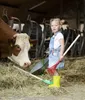 A young girl in overalls and yellow boots stands in a barn with a cow, holding a rake and a shovel. Produktbild-Vorschau