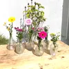 Annastore Dekorative Glasvasen, 12er Set, verschiedene Produktbild-Vorschau 2