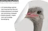MuchoWow® Produktbild-Vorschau 4
