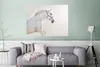 MuchoWow® Poster Pferd - Weiß - Mähne 120x90 cm - Wandbild Produktbild-Vorschau 5