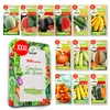 Toraf Gemüsesamen Set XXL, 500 Samen, 12 Sorten, für Garten Produktbild-Vorschau 2
