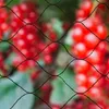 Přírodní síť na ochranu ptáků Primo 10x10 m černá 6030407 Náhled obrázku produktu 2
