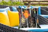MuchoWow® Outdoor Kissen - Gewürze - Löffel - Schwarz - Produktbild-Vorschau 4