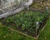 Vogelschutznetz 10m x 10m inkl. 15 Erdanker Laubschutznetz Produktbild-Vorschau 5