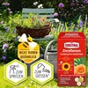 Substral Zierpflanzen Schädlingsfrei Careo Eco (75ml Produktbild-Vorschau 5