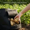 Garten Pflanzsack 3er Set | 30 Liter | Mit Sichtfenster & Produktbild-Vorschau 5
