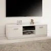 TV-Schrank 120cm breit Lowboard mit matter Oberfläche Produktbild-Vorschau 1