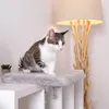lionto Fensterbrettliege, weiche Katzenliege mit Produktbild-Vorschau 4