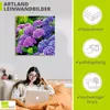 ARTland Leinwandbild Hortensien im Garten Größe: 30x30 cm Produktbild-Vorschau 3