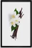 Bild - Bilderrahmen - 40 cm x 60 cm - MDF - Rahmen - Produktbild-Vorschau 1