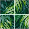 Bild auf Leinwand - Leinwandbild - Blume Natur - 160x85cm - Produktbild-Vorschau 8