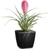 LECHUZA Pot de fleurs QUADRO Premium LS 35 Noir brillant | Voir les images du produit 11