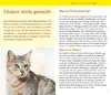 Katzen-Clicker-Box Produktbild-Vorschau 6