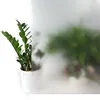 Statisch Fensterfolie 90x100 cm - Frostglas - Produktbild-Vorschau 2