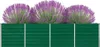 A green raised garden bed filled with three purple and green plants. Náhľad obrázku produktu