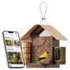 Birdfy, mangeoire intelligente pour oiseaux avec caméra IA Voir les images du produit 2