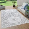 vidaXL Tappeto per esterni ARAKIL Grigio chiaro 190x290 cm Anteprima dell’immagine prodotto 14