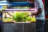 Fischfutter Aquarium Set für Zierfische, 5-teilig mit Produktbild-Vorschau 5