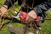Flex Akku-Astschere GPS 35 + Akku Set P-Set 22 Q (18 Volt, Produktbild-Vorschau 4