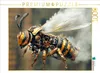 CALVENDO Puzzle Ein Motiv aus dem Kalender "Die Produktbild-Vorschau 1