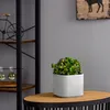 Květináč Květináč Pouzdro Barva Bílá 14,5 cm V13,5 cm Náhled obrázku produktu 9