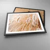 Gerahmtes Poster - Schwarzer Rahmen - Gras Boho Licht - Produktbild-Vorschau 3