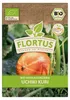 Hokkaidokürbis Uchiki Kuri |  Kürbissamen von FLORTUS Produktbild-Vorschau 1