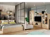 A bedroom and living area combined, separated by a glass partition. The bedroom features a bed with forest-themed wallpaper, while the living area has a TV unit and shelving. Náhled obrázku produktu