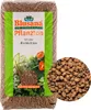 Blusana Blähton 50 Liter mittlere Körnung 4-8mm Produktbild-Vorschau 1