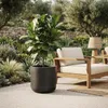 Vyveo - Vaso da fiori Orena - Beige - 56x54 Anteprima dell’immagine prodotto 7