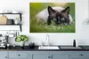 OneMillionCanvasses® - Leinwandbilder - 140x90 cm, Katze - Produktbild-Vorschau 4