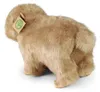 Peluche Capibara 30 Cm Ecologico Anteprima dell’immagine prodotto 5