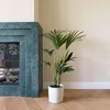 Kencja - Howea forsteriana - Wysokość 90-100cm - ⌀18cm Podgląd zdjęcia produktu 5