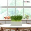 A rectangular white planter filled with green microgreens sits on a white round table in front of a large window with a view of trees. There are also some fruits in a basket on a counter behind the planter. Produktbild-Vorschau