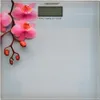 Esperanza EBS010 personal scale Electronic personal scale Anteprima dell’immagine prodotto 2
