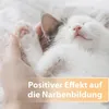 A person's hand is holding a sleeping kitten. Anteprima dell’immagine prodotto
