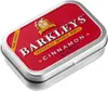 Barkleys Mini Mints Pastillen mit Zimt Geschmack Zuckerfrei Produktbild-Vorschau 4
