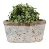 Clayre & Eef Blumentopf 19x11x10 cm Beige Blau Terrakotta Voir les images du produit 2