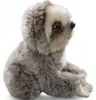 Carl Dick Faultier Baby ca. 18cm 3419 Kuscheltier, Produktbild-Vorschau 4