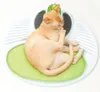 Katzenspielzeug Catit Senses 2.0 Wellness Center Produktbild-Vorschau 2