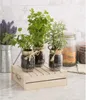 Three herb plants in mason jars are displayed on a wooden crate, with jars of dried goods in the background. Voir les images du produit