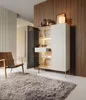 A modern living room with a vitrine, chair, and rug. Produktbild-Vorschau